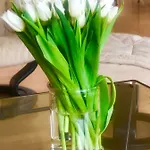 Smart&beautiful Deluxe * Nordkirchen