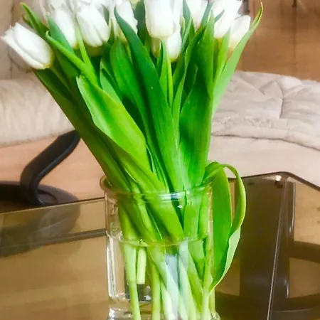 Smart&beautiful Deluxe * Nordkirchen