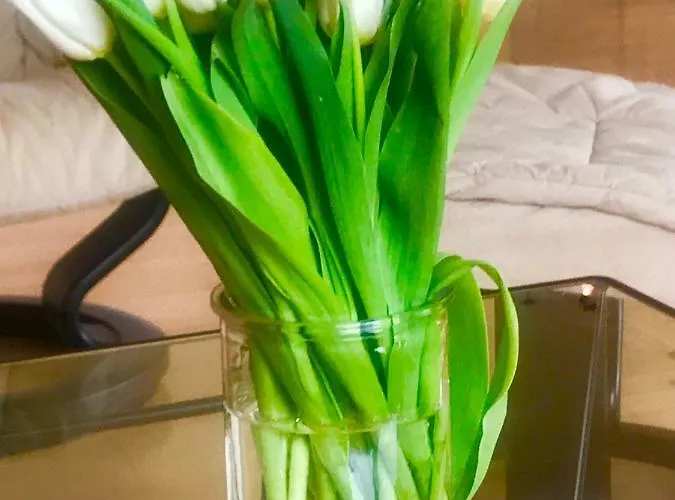 Smart&beautiful Deluxe * Nordkirchen